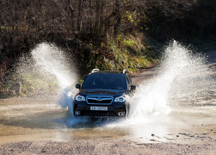 Фото Subaru Forester 2015 спереди
